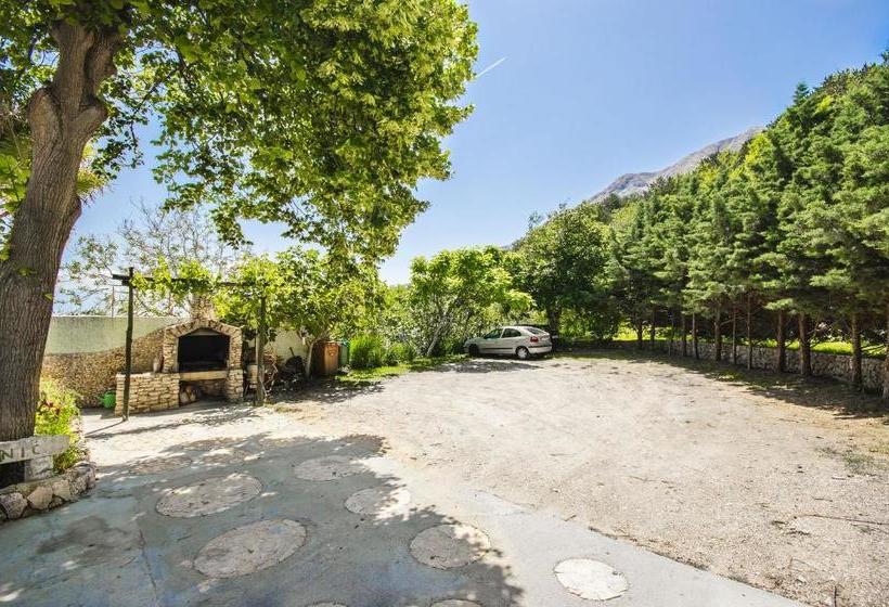Apartments Mladen