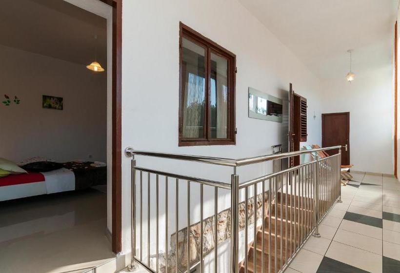 Apartman Goga
