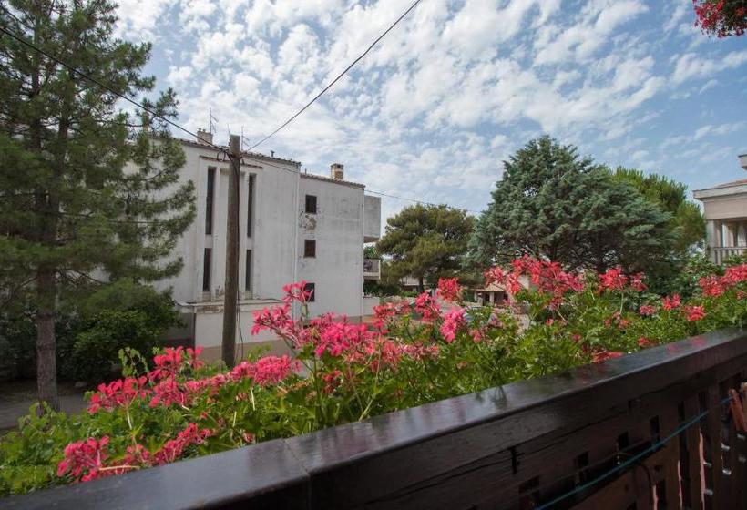 Apartment And Room Marica