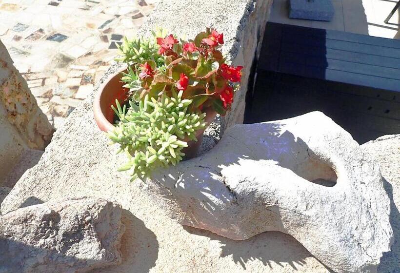 Mareta   Apartment In A Stone House