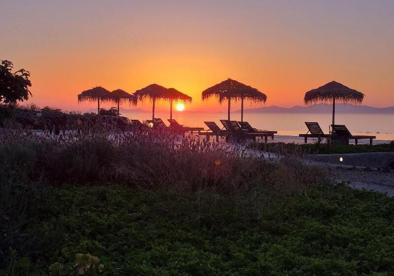 Hotel Danae Suites Santorini