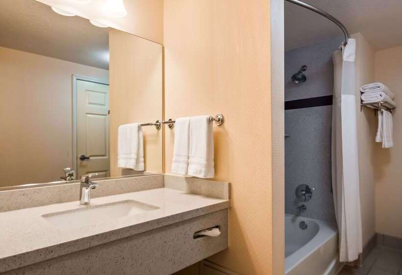 فندق Best Western Plus Twin View Inn & Suites