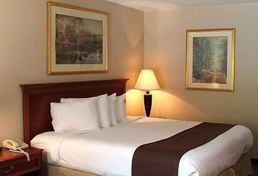 ホテル Chestnut Tree Inn  Cherokee