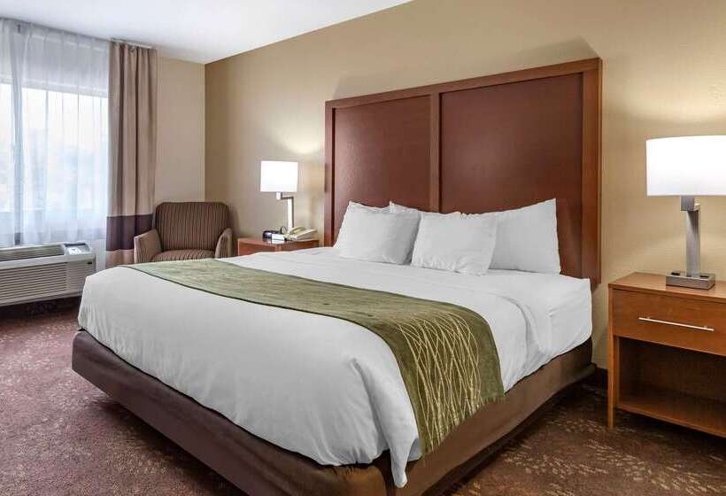 בית מלון כפרי Comfort Inn Okemos  East Lansing