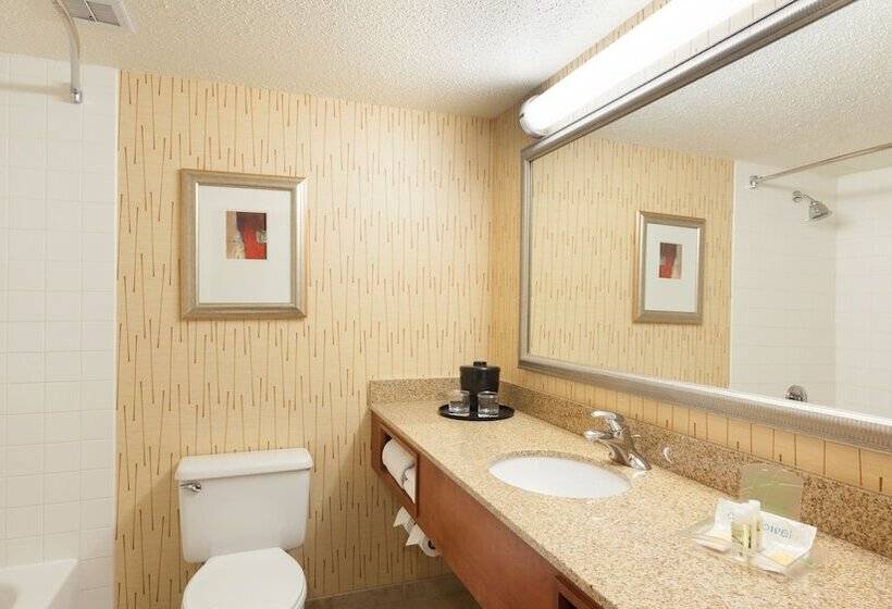هتل Holiday Inn Cincinnati Airport, An Ihg