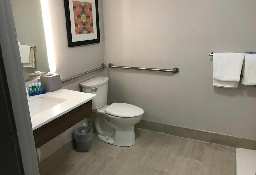 فندق Holiday Inn Express   Naples South   I 75, An Ihg