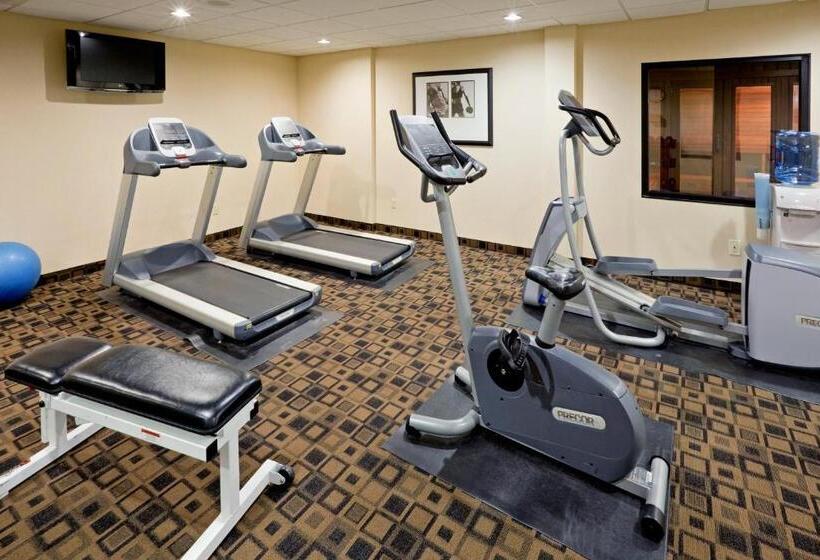 هتل Holiday Inn South Plainfield Piscataway, An Ihg