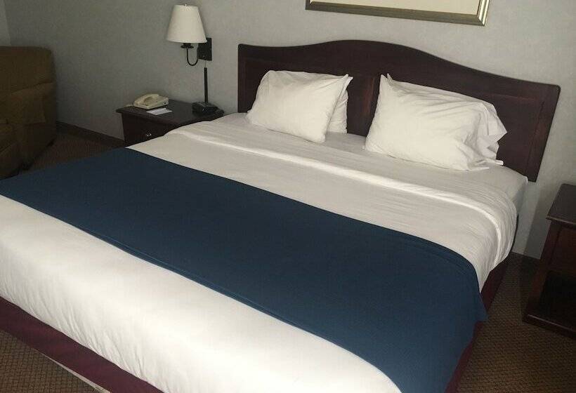 호텔 Mountain Inn & Suites