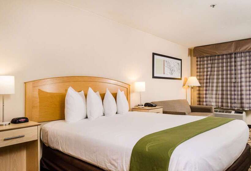 هتل Quality Inn & Suites Lathrop