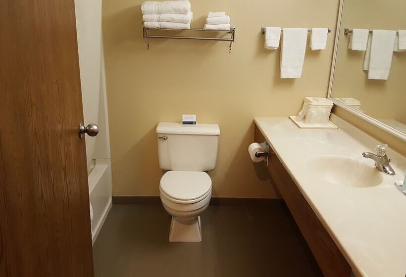 בית מלון כפרי Quality Inn Ozark Springfield South