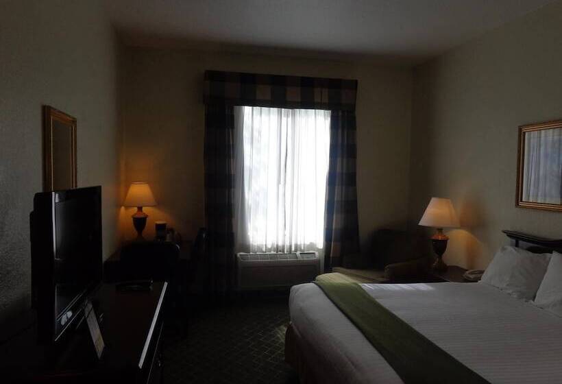 فندق Ruskin Inn Tampasun City Center