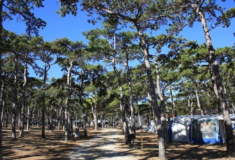 בית מלון כפרי Kamp Planik  Campsite