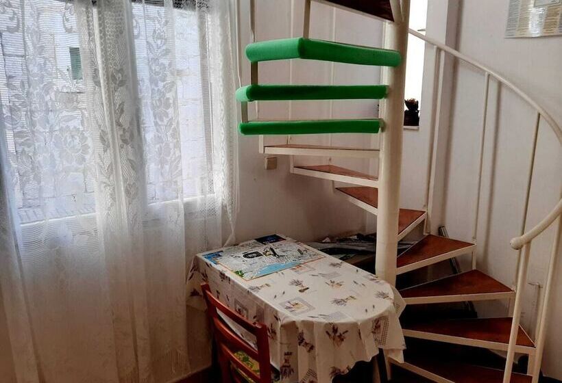 Rosmarinus Rubic Studio