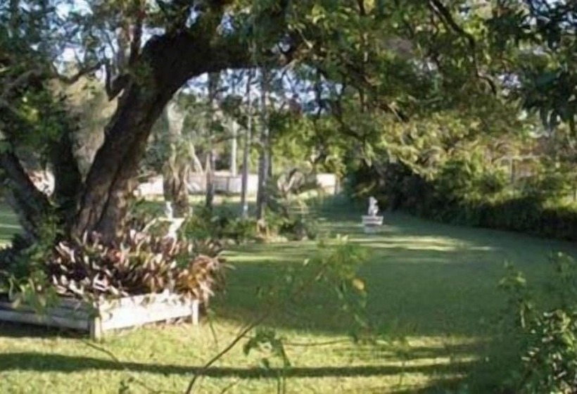 Palms Oasis Motel
