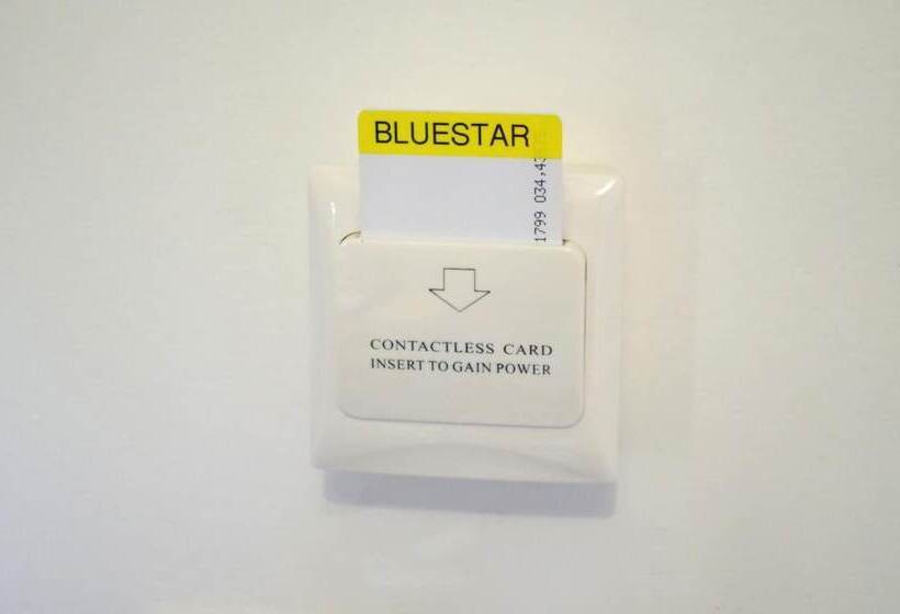 Bluestar Close To The Bacvice Beach