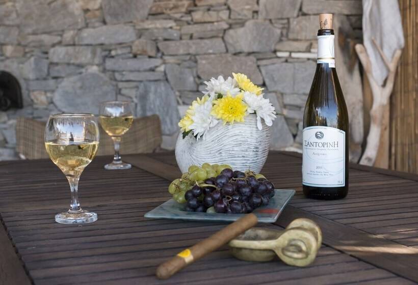 Aegean View Seaside Apartment Syros