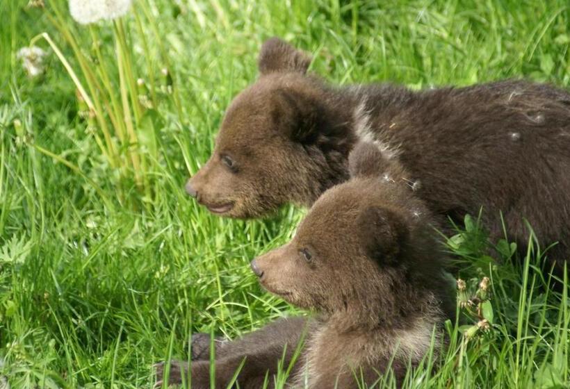 צימר Maison D Hôtes Et Campement Mariposa