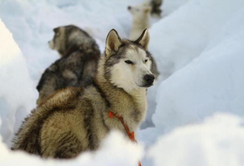 צימר Maison D Hôtes Et Campement Mariposa