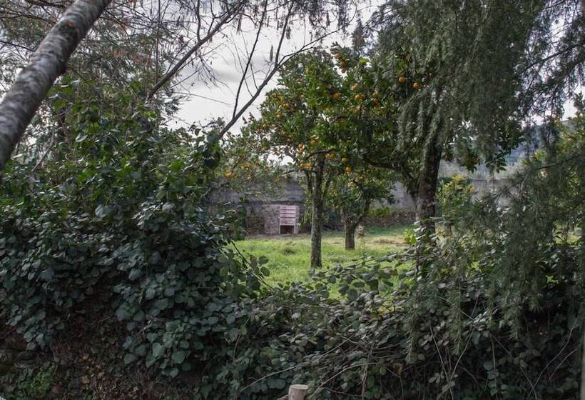 بنسيون Cr La Flor Del Naranjo