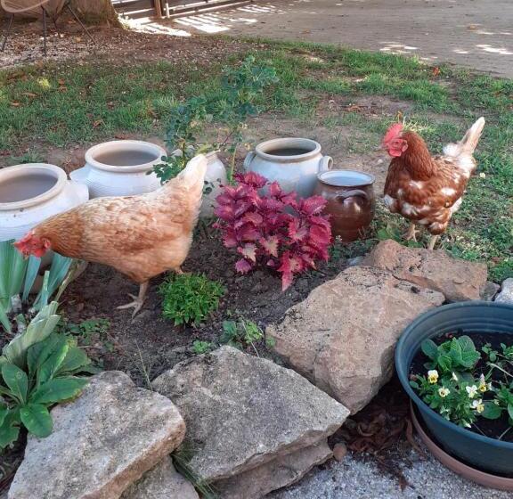 Пансион Les Trois Charmes