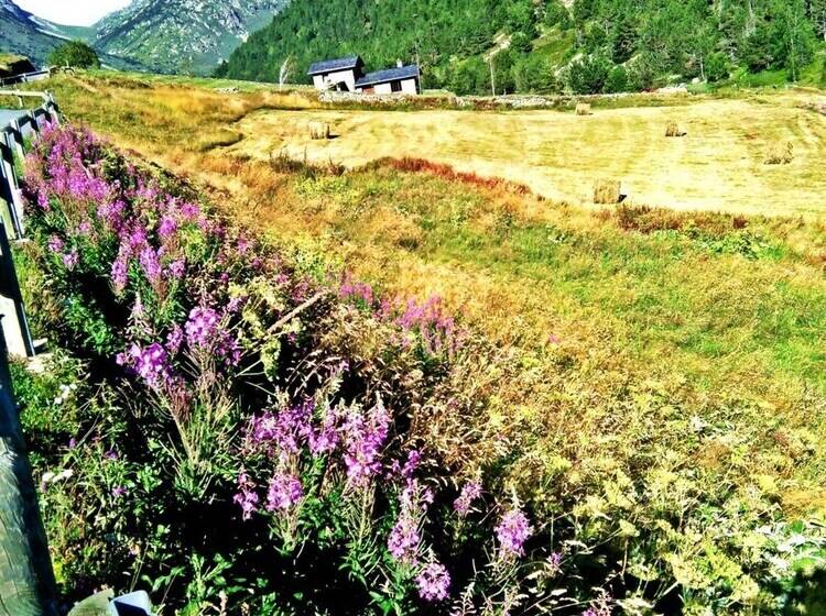 تختخواب و صبحانه Chalet Rec Dels Noguers