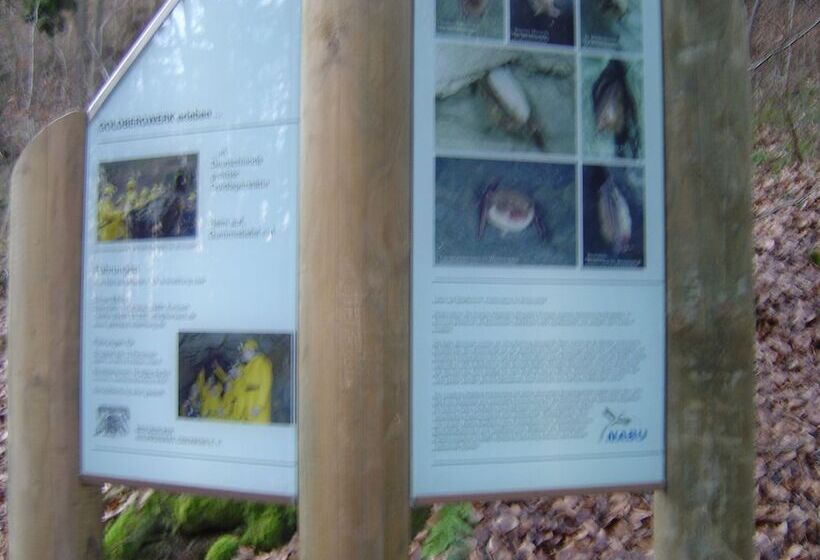 Пансион Ferienwohnung Sauerlandblick