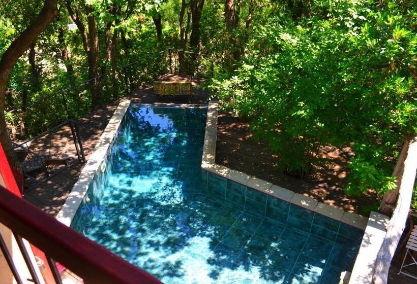 پانسیون Maison De La Vigne