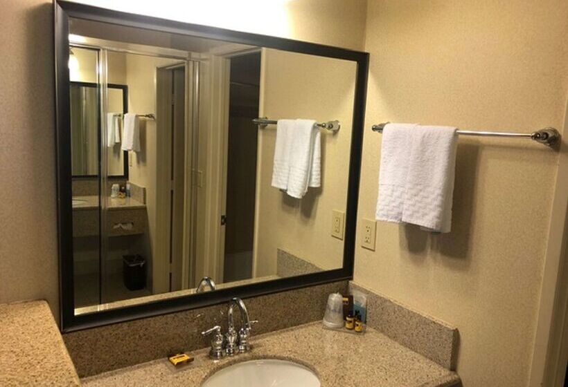 בית מלון כפרי Best Western Plus Dana Point Inn By The Sea