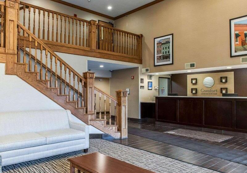 호텔 Comfort Inn & Suites Napoleon