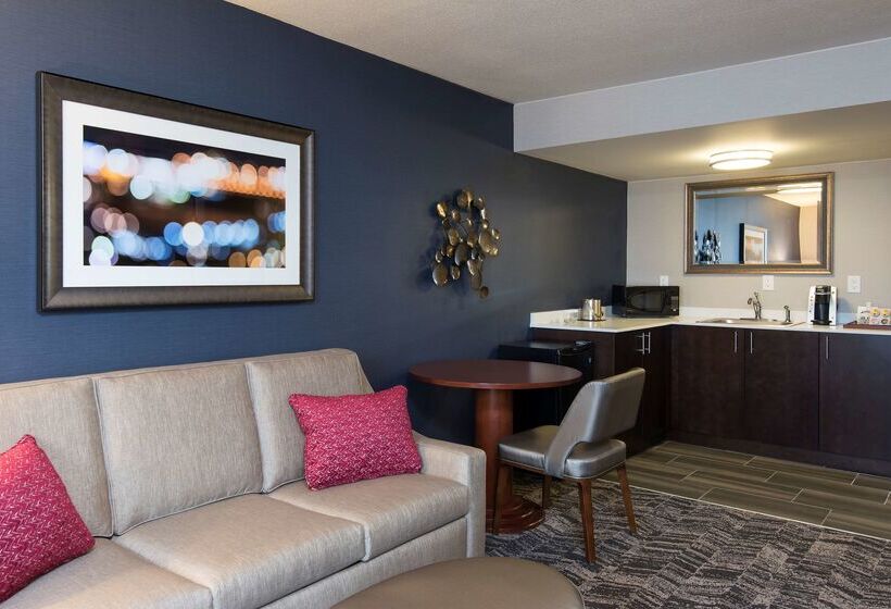 בית מלון כפרי Doubletree By Hilton Schenectady Downtown