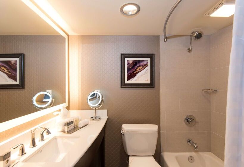 בית מלון כפרי Doubletree By Hilton Schenectady Downtown