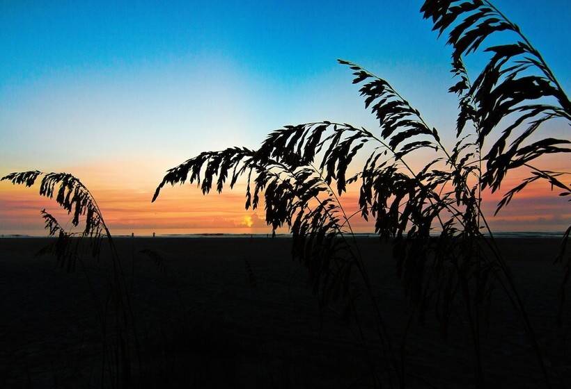 酒店 Guy Harvey Resort On Saint Augustine Beach