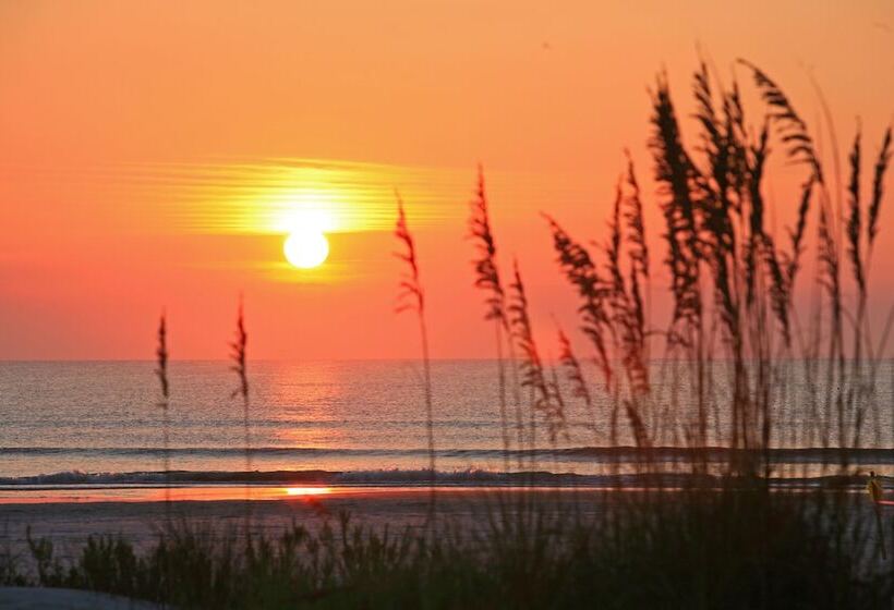 酒店 Guy Harvey Resort On Saint Augustine Beach