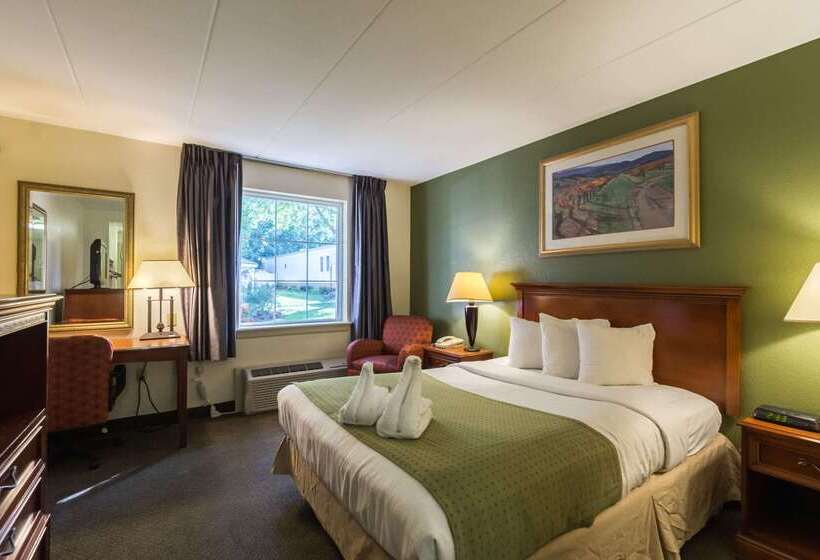 酒店 Quality Inn & Suites Conference Center