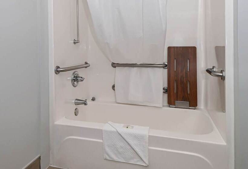 ホテル Quality Inn & Suites Matthews   Charlotte