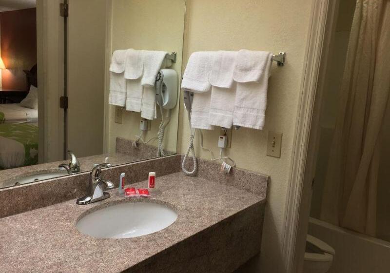 فندق Quality Inn University Area