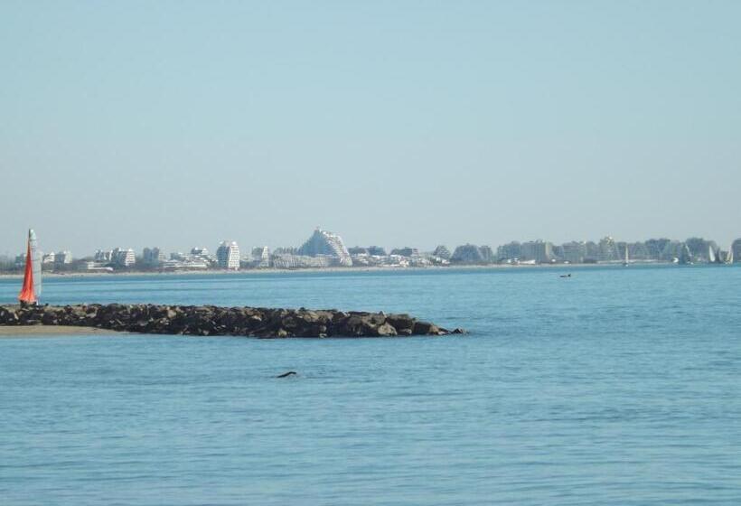 هتل Hôtel Le Carnon