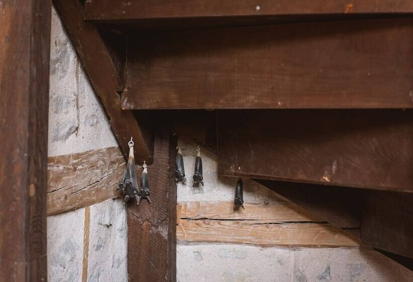 فندق Le Morimont