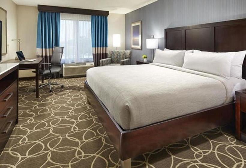 هتل Hilton Garden Inn North Dallas Central Expy