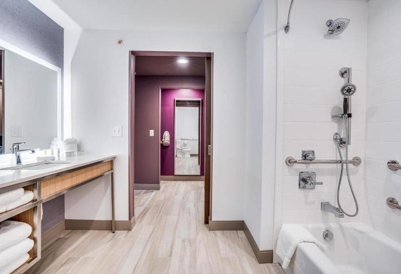 هتل Hilton Garden Inn North Dallas Central Expy