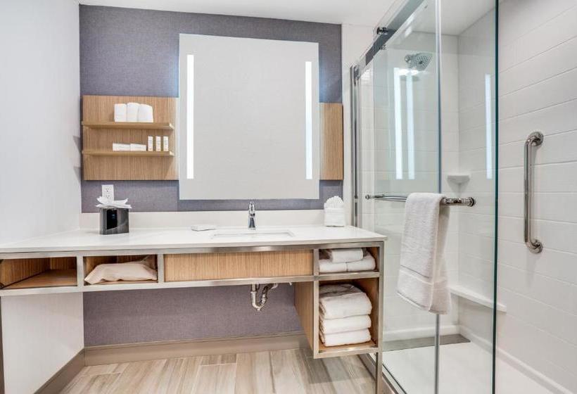 هتل Hilton Garden Inn North Dallas Central Expy