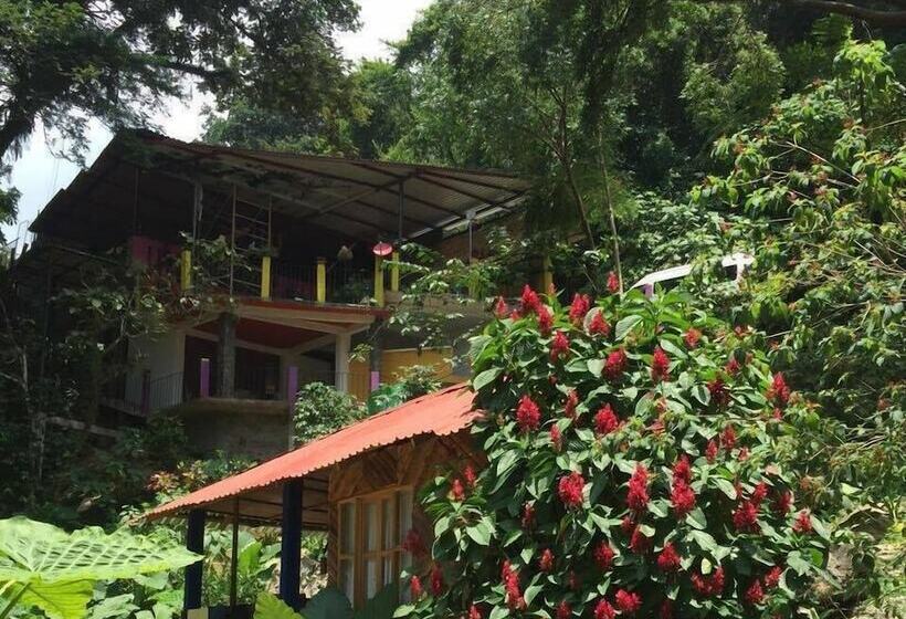 هتل Cabañas Y Casas Del árbol La Huerta