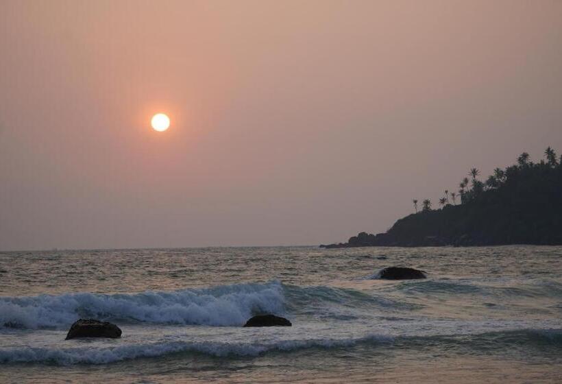 Hotel Turtle Bay Beach Resort