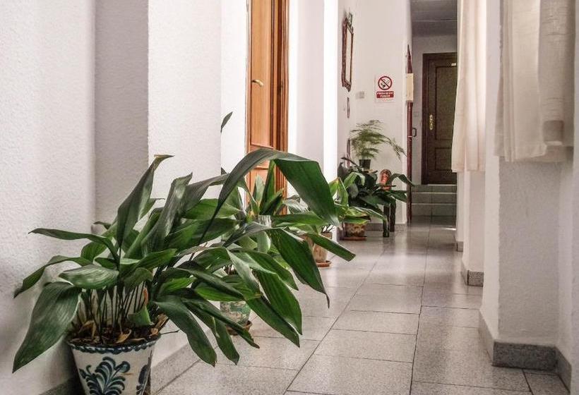 Pensión Ciudad Navarro Ramos