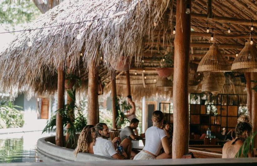 هاستل The Space Jungle Oasis