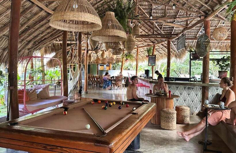 هاستل The Space Jungle Oasis