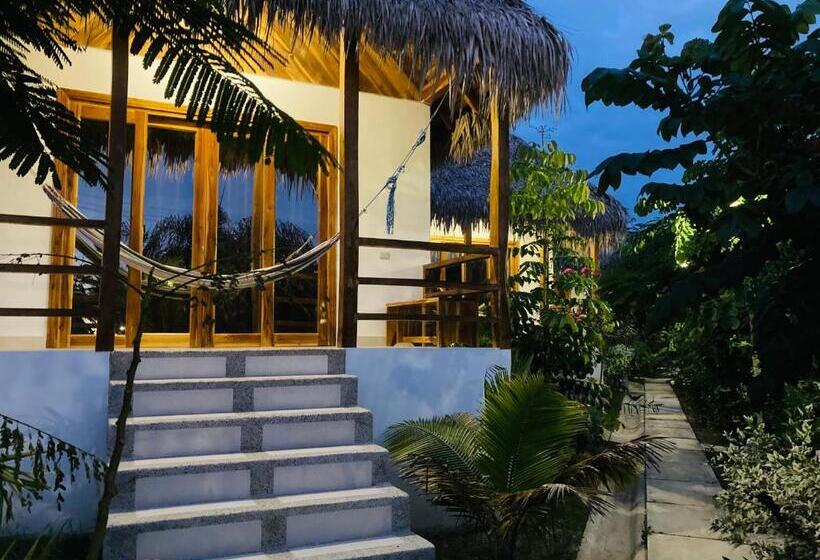 هتل La Costa International