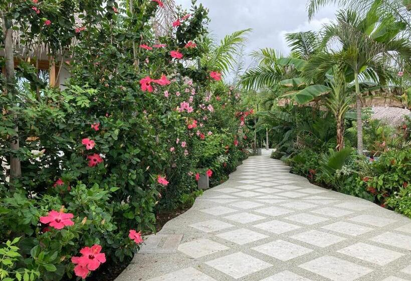 هتل La Costa International