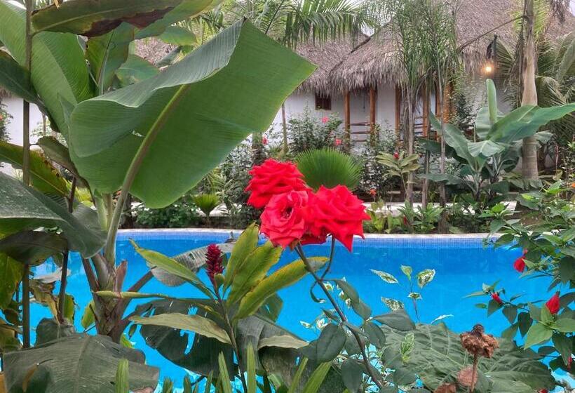 هتل La Costa International