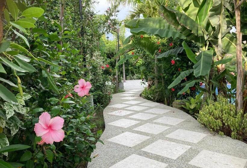 هتل La Costa International